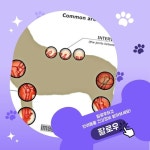 우리동네 동물병원 혜택 앱 | 말캉 on Instagram: 말캉의 건강팁... 특히 고령이거나 수술 이력이 있는 아이들은 더 조심해야 하는데요.... 