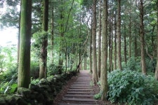 제주도 여행코스 힐링 명소 제주 오름 베스트 11 제주도 여행코스 힐링 명소 제주 오름 베스트 11 | 제주, 일출, 사진