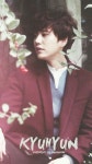 SUJU에 관한 44개의 최상의 Pinterest 이미지 | Super junior, 공원 및 은혁 SUJU