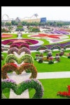 49 best Hearts images on Pinterest | 나의 심장, Painted rocks 및 The doors Hearts 
