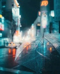 Pin de Tina Lee em 채색화1 (com imagens) | Instagram, Chuva, Dias chuvosos