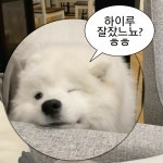 하이루 잘잤느뇨?ㅎㅎ