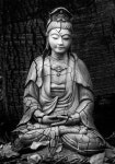 Budha에 관한 25개의 최상의 Pinterest 이미지 Budha