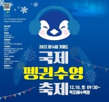 제14회 거제도 국제펭귄 수영축제 - 2023 | 포스터, 축제, 일본