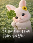 🐰아기 토끼 토둥이의 행운을 받았습니다🍀 5초 안에 공유시 막혔던 일들이 술술 풀리기 시작함 #토끼 #응원 #짤