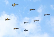 국토교통부는 국내 최대 항공 레저 축제인 제5회 항공레저스포츠제전(가자, 즐기자, 날아보자)이 11월 3일부터 4일까지 이틀간 전남 영암군... 