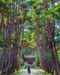 관음포 #이충무공전몰유허 #이락사 로 가는 길입니다🌲 이순신... 관음포 #이충무공전몰유허 #이락사 로 가는 길입니다🌲  이순신 장군이... 