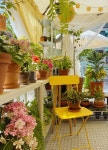 bobgreen house - 2021 | 5월 5일