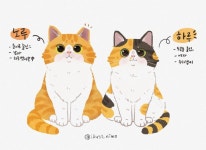 하루 노루