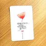 수채 캘리