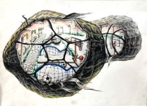 Pin page 디자인고흐 미술학원 본원 on Instagram: “2020 디자인고흐 기초소양&기초조형 공모전  주제 - 땅콩에 구멍을 뚫어 내부에... 