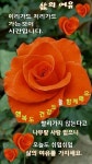 Pin by 채수정 on 문인화 | Quick