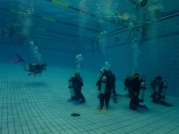 올림픽수영장 다이빙풀 올림픽수영장 다이빙풀 | Scuba diving, Diving, Scuba