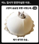 어느 집사가 망연 자실한 이유 ㅋㅋㅋ,,