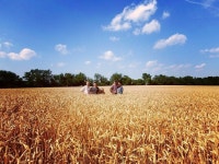 Pin page Our farm에 있는 Darcy H Geiger님의 핀