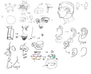 ⚜안경⚜ on Twitter in 2020 | Anatomy tutorial, Drawings, Male sketch