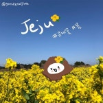 고로케살지마(@gorokesaljima)님: 살랑살랑 봄바람에💨 마음이 유채꽃처럼 흔들린다고로케🥴🌼 #제주도 🐴🌴#유채꽃 #🌸 #jeju... 