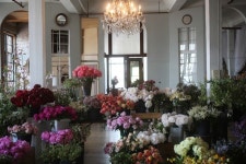 Little Flower School,, | 꽃