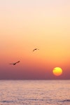 Korea eastsea sunrise 동해의 아름다운 일출 | 자연 사진, 일출, 일출 그림