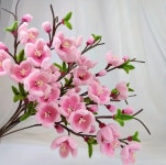 Flower crafts에 있는 Lynne Balding님의 핀 - 2025