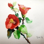 좋아요 1개, 댓글 0개 - Instagram의 youngheegam(@ocalret)님: 유투브 신종식 수채화 투어보고 동백꽃 그리기 어려운데 재미있다.... 