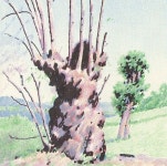 Pin page Pin by NovemberD on 드로잉 | Landscape illustration, Oil pastel colours, Color pencil drawing