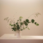 flowers & vase에 있는 MJ Leesong님의 핀