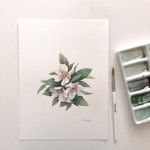 그렸네요 😆 #흰꽃그리기✍🏻#Eucryphia#아르쉬세목 #좋은하루^^ #수채화#세밀화#보태니컬아트 #꽃#꽃그림 #watercolor#botanicalart #art... 