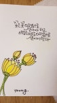 캘리글귀에 있는 이수정님의 핀 | 손글씨 문구, 수채화 엽서, 문구