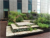 아모레퍼시픽 본사옥상정원, 가든디자인 뜰(garden design 뜰) | 호미파이 & homify 가드닝 프로젝트 - 2014. 아모레퍼시픽... 