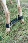 Goats에 관한 43개의 최상의 Pinterest 이미지 | 염소, 농장 및 아기 염소 Goats