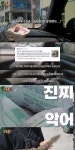 실제로 국내에서 길을 가다가 발견돤 바다악어