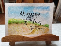 수채화+캘리 수채화+캘리 | 손글씨, 칼리그래피 아트, 수채화