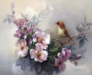 Пин от пользователя 심재숙 на доске 문인화 | Искусство птицы, Краска... 