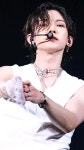 #도베르만_YS