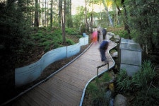 forest gallery에 대한 이미지 검색결과