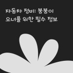 자동차 정비: 붕붕이 오너를 위한 필수 정보