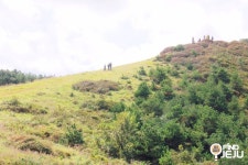 효리네민박 백약이오름 요즘 핫플 제주오름 명소 : 네이버 블로그 | 여행