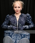 Pin page CL 씨엘 iheartfestival | Korean fashion, Artsy photography, Women