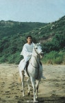Pin page Ghim của 범진 김 trên andy lau