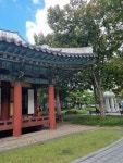 대구, daegu | Outdoor structures, Pergola, Outdoor