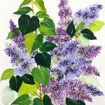 아름다운 수채화를 더 아름답게 그리고 싶다. . . . .… | Watercolour inspiration, Watercolor, Seasonal wreaths
