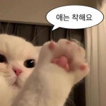애는 착해요