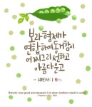 보라 형제가 연합하여