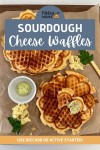 Savory Sourdough Cheese Waffles [easy discard recipe] | Recipe | Cheese waffles, Sourdough, Waffles