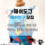 #해쉬도그 홈모델 모집해요 #해쉬친구 지원 방법 1.... get_repost)  . #해쉬도그 홈모델 모집해요 #해쉬친… | Repost