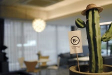 designby83/디자인바이팔삼/botanico 보타니코/interior/interior deco/interior design/branding/design/deco /furniture/cafe... 