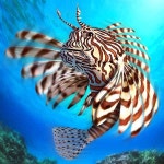 해양 Ocean에 있는 Y. H. Yoon님의 핀