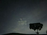 연천 당포성 | 연천 당포성 전망대 | 연천 당포성 별 | 별, 국내 여행, 나무