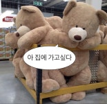 집에 보내줘